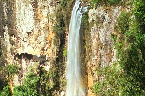 Rainforest & Waterfalls Extravaganza - Accommodation Australia 3