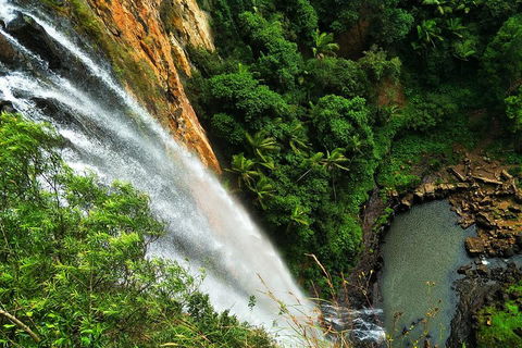 Private Tour - Rainforest & Waterfalls Extravaganza - Local Tourism 2