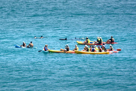 The Byron Bay Sea Kayak Tour - Accommodation Australia 1