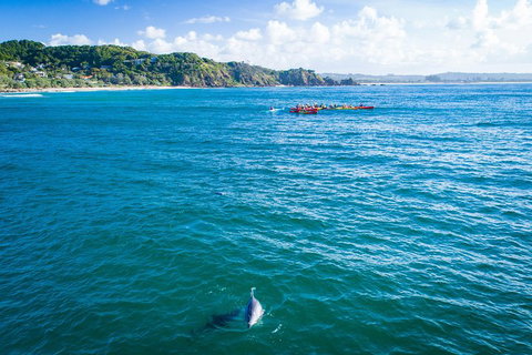 The Byron Bay Sea Kayak Tour - Accommodation Australia 2