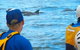 The Byron Bay Sea Kayak Tour - thumb 4