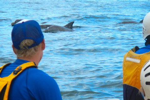 The Byron Bay Sea Kayak Tour - Accommodation Australia 4