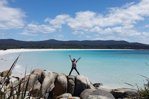 Tasmania 4 Day East Coast + Launceston - Accommodation Australia 1