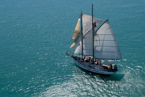 Whitehaven Beach Sailing And Snorkeling Cruise - Accommodation Australia 1
