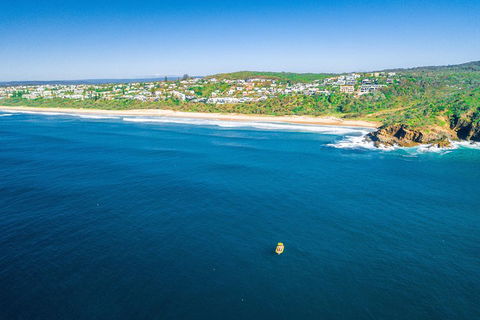 Noosa Oceanrider Scenic Dolphin Safari - Local Tourism 4