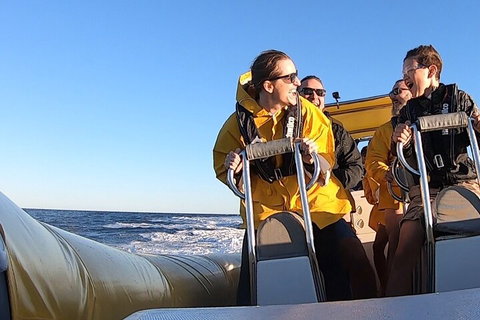 Noosa Oceanrider - Adventure Tour - Bed n Breakfasts 0