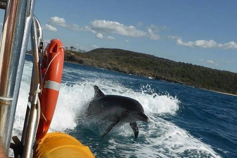 Noosa Oceanrider - Adventure Tour - Bed n Breakfasts 1