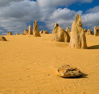 The Pinnacles Sea and Dunescapes Bush Reserve and Sunset Day Tour - Local Tourism
