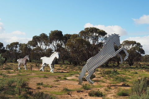 Wave Rock, Wild Flowers And Astro Photography - Accommodation Australia 5