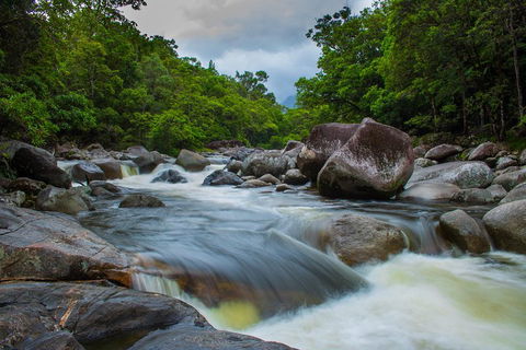 Cape Tribulation Day Tour - Local Tourism 0