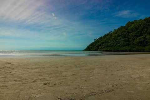 Cape Tribulation Day Tour - Local Tourism 2