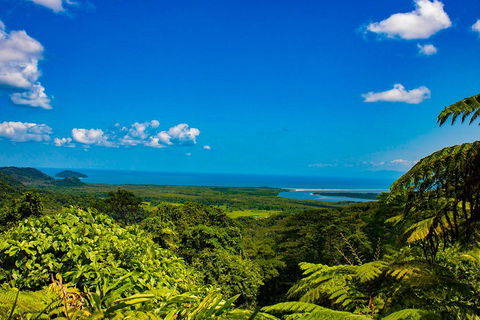 Cape Tribulation Day Tour - Local Tourism 3