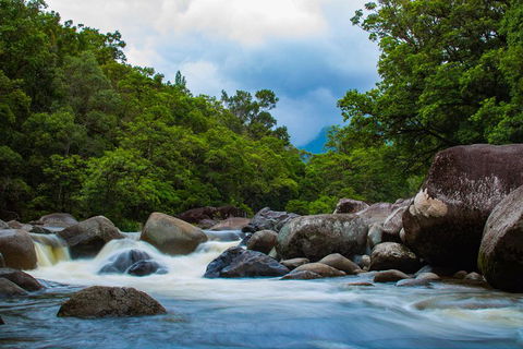 Cape Tribulation Day Tour - Local Tourism 4