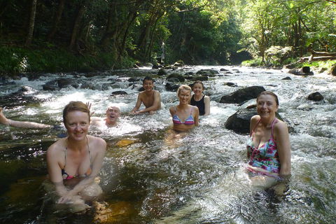Daintree Rainforest, Cape Tribulation, Mossman Gorge Small-Group Day Tour - Accommodation Australia 0