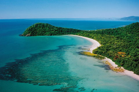 Daintree Rainforest, Cape Tribulation, Mossman Gorge Small-Group Day Tour - Accommodation Australia 4