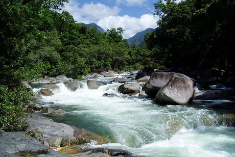 Daintree Rainforest, Cape Tribulation, Mossman Gorge Small-Group Day Tour - Accommodation Australia 5