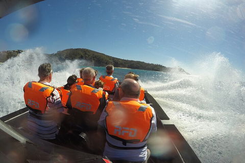 Noosa Thriller - 500hp Ocean Adventure Ride - Local Tourism 3