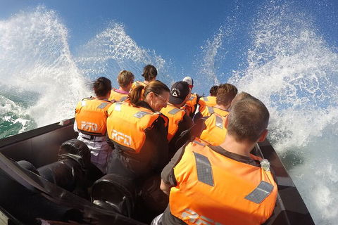 Noosa Thriller - 500hp Ocean Adventure Ride - Local Tourism 4