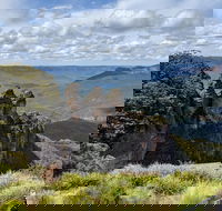 Blue Mountains Private Tour - wild kangaroos waterfalls and The Three Sisters - Local Tourism