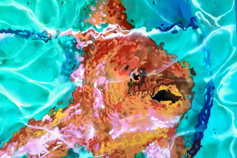 Discover Brisbane - South Bank - Accommodation Australia 4