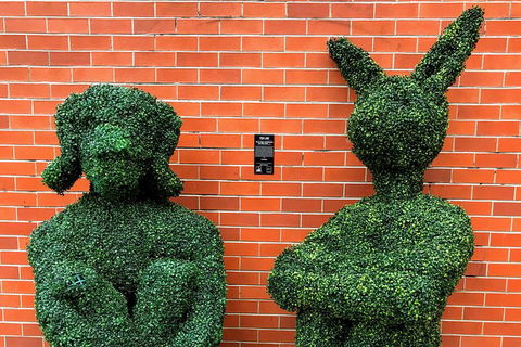 Discover Brisbane - South Bank - Accommodation Australia 5