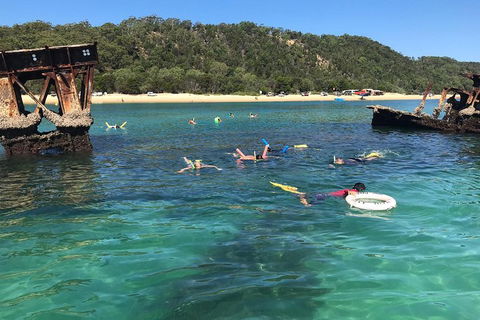 All Inclusive Dolphin And Tangalooma Wrecks Cruise - Accommodation Australia 0
