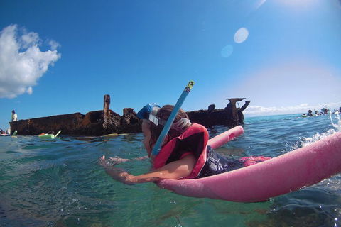 All Inclusive Dolphin And Tangalooma Wrecks Cruise - Accommodation Australia 2