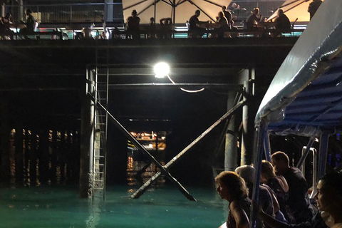 Darwin Sunset Cruise Including Fish 'n' Chips - Accommodation Australia 0