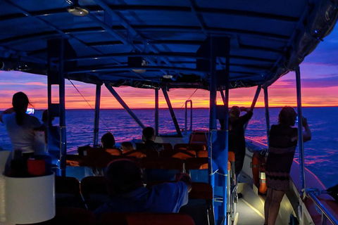 Darwin Sunset Cruise Including Fish 'n' Chips - Accommodation Australia 1