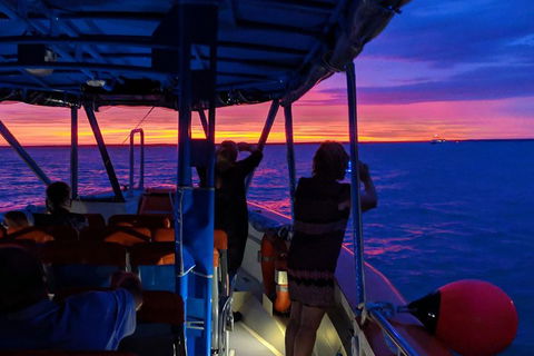 Tropical Light Sundowner Cruise With Drinks Included - Accommodation Australia 5
