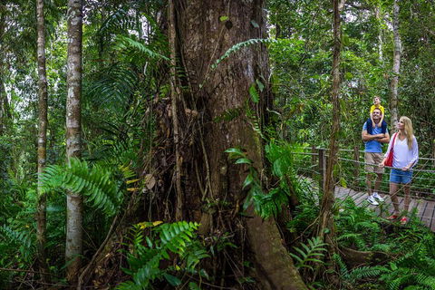 Kuranda Day Tour + HotAir Balloon Combo - Accommodation Australia 3