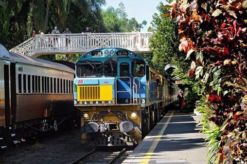 Kuranda Day Tour + HotAir Balloon Combo - Accommodation Australia 4