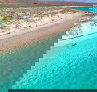 Ningaloo in a Day - Full Day Hike and Snorkel Tour with Lunch - Local Tourism