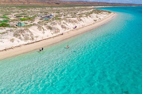 Ningaloo In A Day - Full Day Hike And Snorkel Tour With Lunch - Local Tourism 0