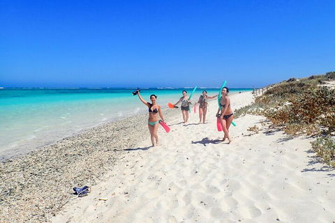 Ningaloo In A Day - Full Day Hike And Snorkel Tour With Lunch - Local Tourism 1