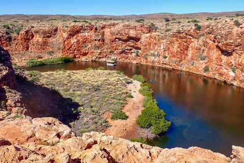 Ningaloo In A Day - Full Day Hike And Snorkel Tour With Lunch - Local Tourism 2