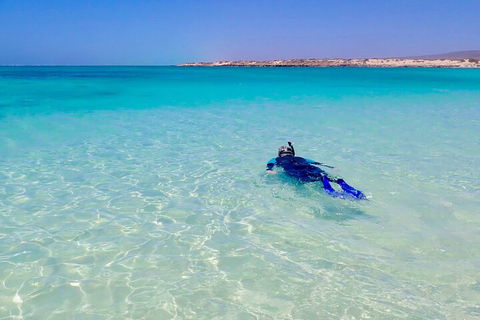 Ningaloo In A Day - Full Day Hike And Snorkel Tour With Lunch - Local Tourism 4