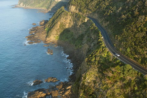 LGBT+ Friendly 2 Day Private Tour Great Ocean Road + Phillip Island - Accommodation Australia 4