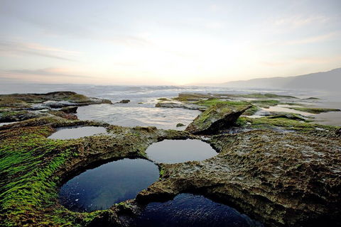 LGBT+ Friendly 3 Day Private Tour Great Ocean Road & Phillip Island - Accommodation Australia 5