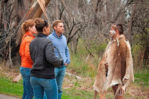 Blue Mountains Tour From Sydney With An Aboriginal Experience - Local Tourism 3