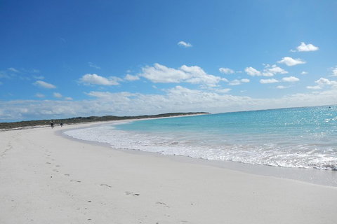 Shipwreck Special Nature Tour/Half Day Tour - Local Tourism 0