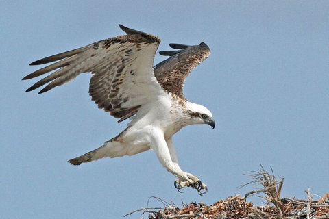 Shipwreck Special Nature Tour/Half Day Tour - Local Tourism 4