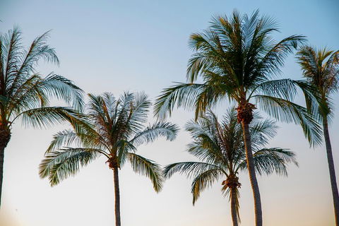 Darwin City Sightseeing Tour - Accommodation Australia 0