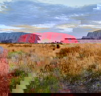 Uluru Ayers Rock Sunset with Outback Barbecue Dinner and Star Tour - Local Tourism