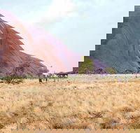 Uluru Sunrise and Guided Base Walk - Local Tourism
