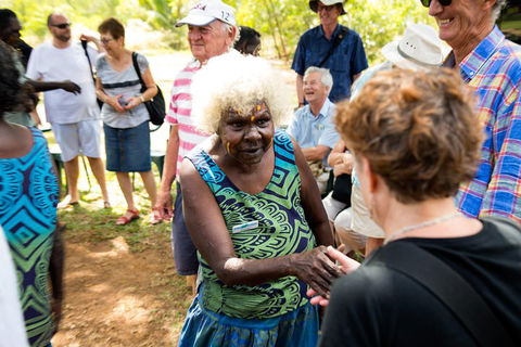Tiwi Islands Cultural Experience From Darwin Including Ferry - Accommodation Australia 0