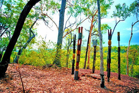 Tiwi Islands Cultural Experience From Darwin Including Ferry - Accommodation Australia 3