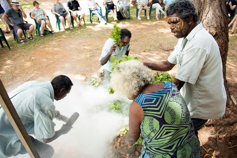 Tiwi Islands Cultural Experience From Darwin Including Ferry - Accommodation Australia 4