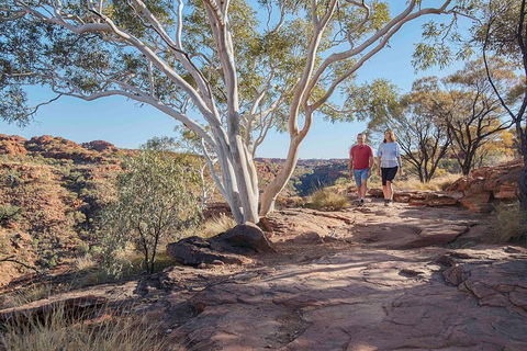 3-Day Tour From Uluru (Ayers Rock) To Alice Springs Via Kings Canyon - Local Tourism 1
