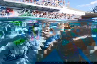 Great Barrier Reef Day Cruise from Cairns Including Snorkeling and Marine Biologist Presentation